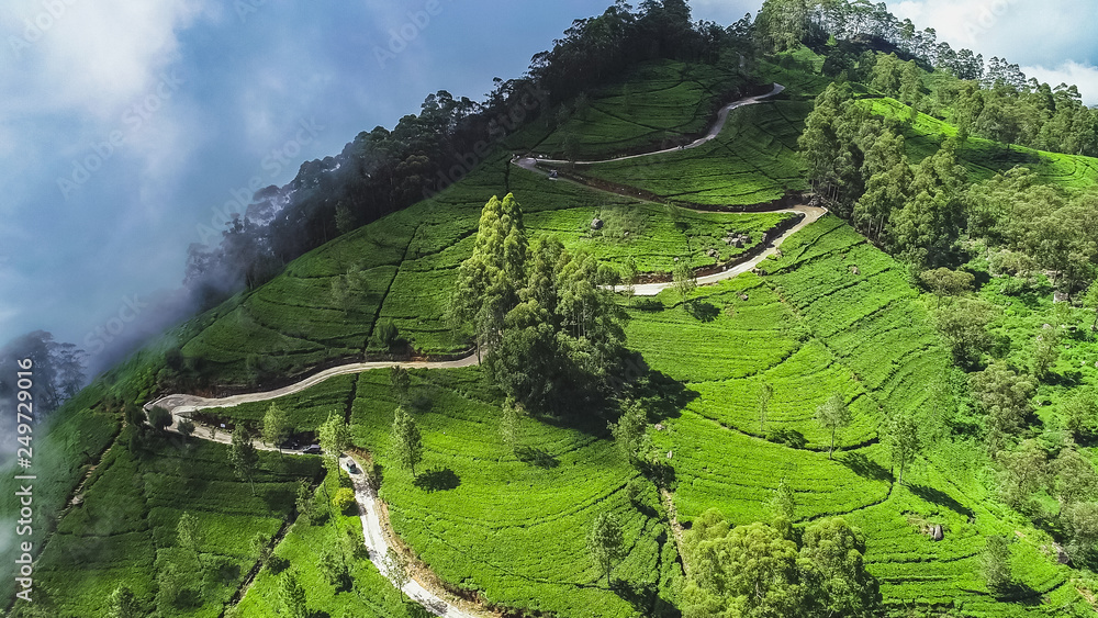 Lipton’s Seat (Haputale)