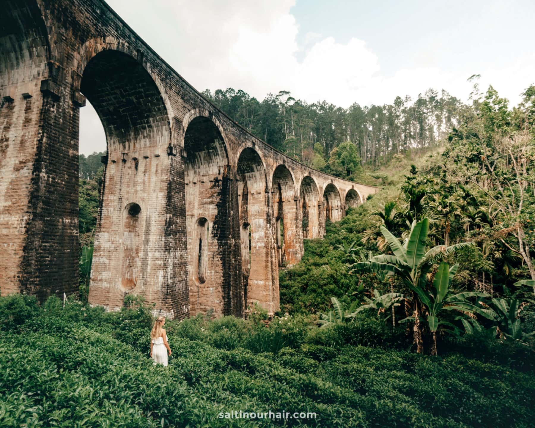 Nine Arches Bridge (Ella)