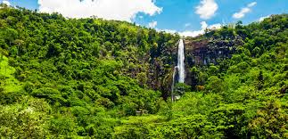 Bambarakanda Falls